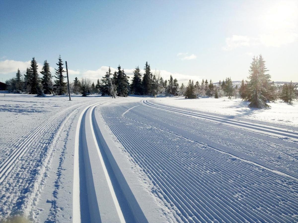 Ski And Bike-In And Out Hafjell Extérieur photo