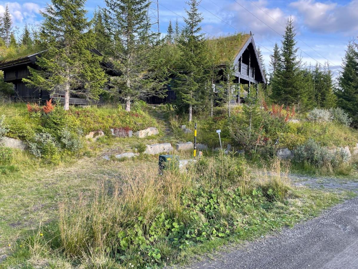 Ski And Bike-In And Out Hafjell Extérieur photo